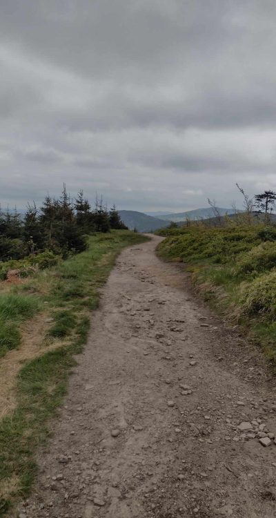 440867476_873161514615755_6830057094342283885_n