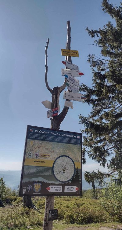 440882488_814004260790110_6332598253390012498_n